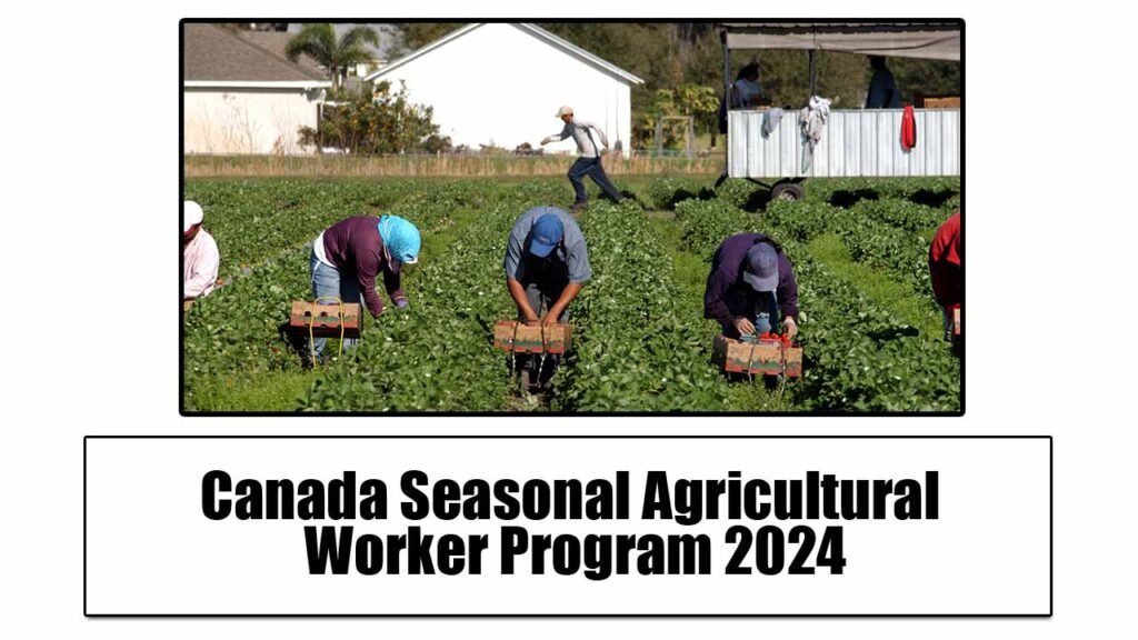 Canada Seasonal Agricultural Worker Program 2024