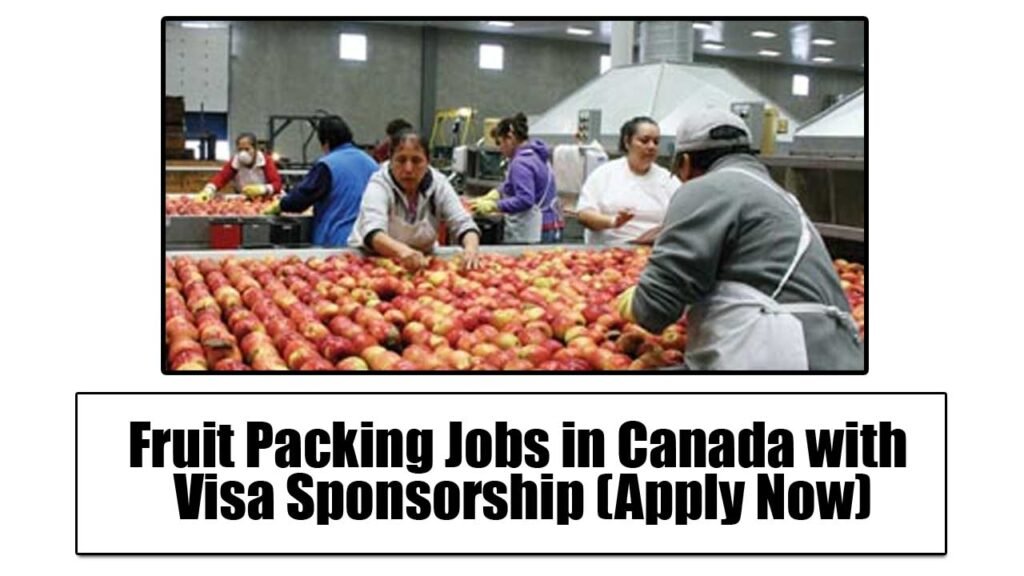 Fruit Packing Jobs in Canada