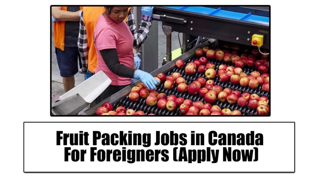 Fruit Packing Jobs in Canada For Foreigners (Apply Now)