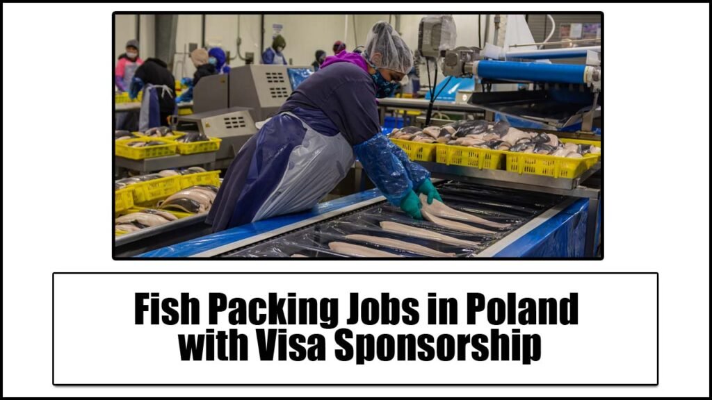 Fish Packing Jobs in Poland with Visa Sponsorship