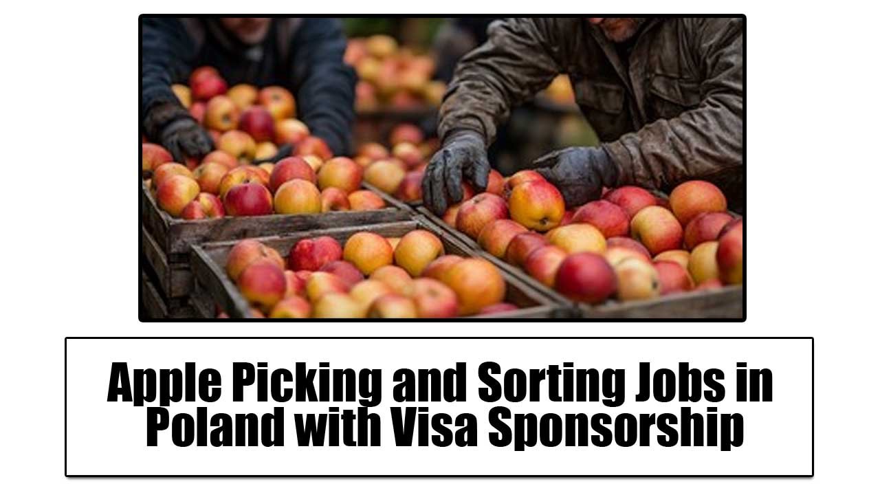 Apple Picking and Sorting Jobs in Poland with Visa Sponsorship