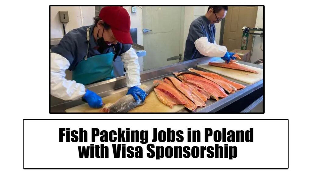 Fish Packing Jobs in Poland with Visa Sponsorship